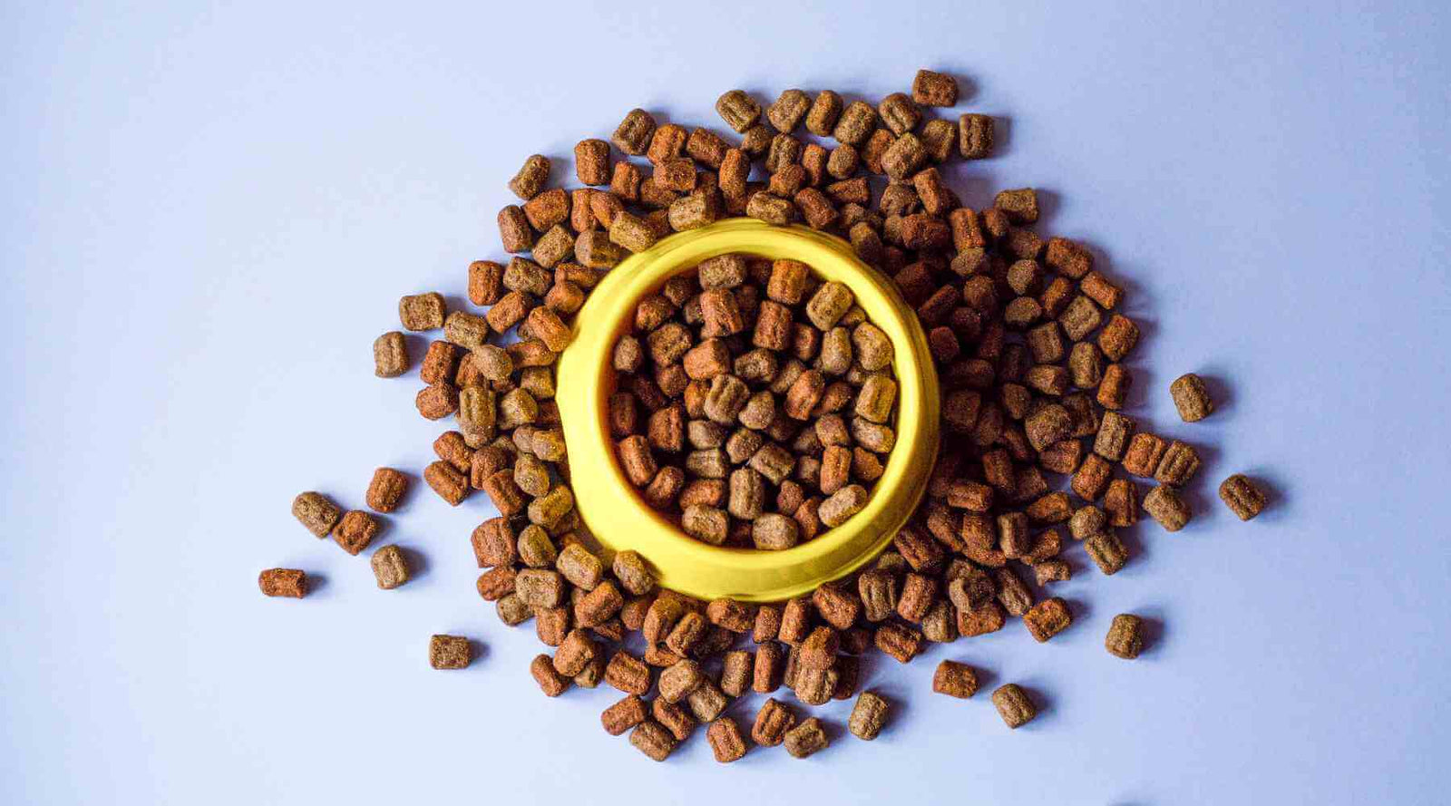 Dog Food