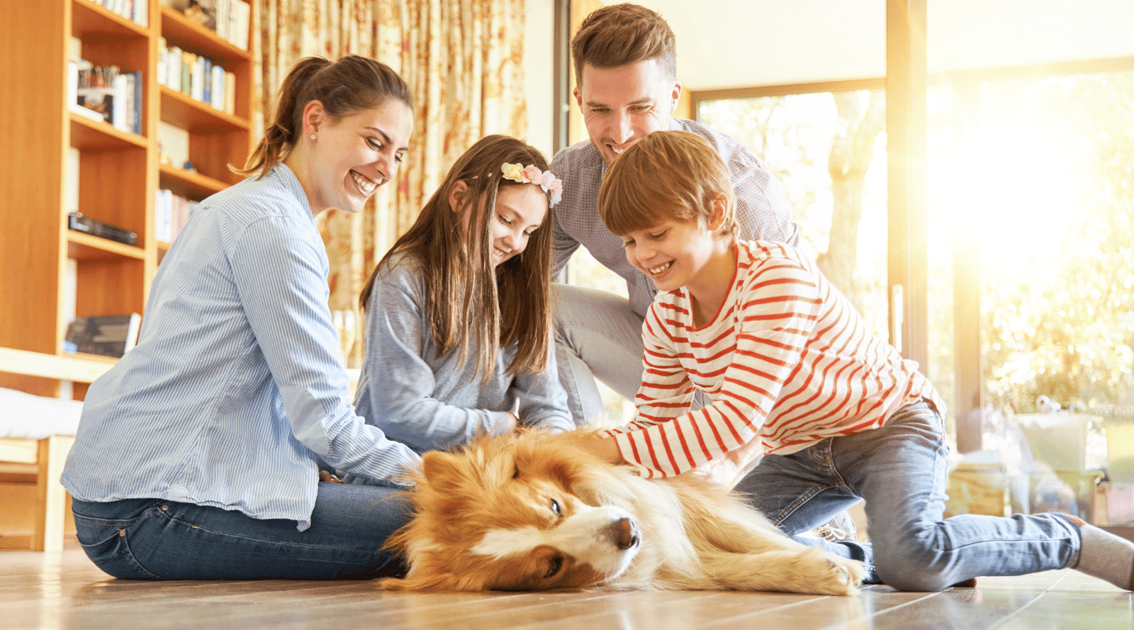 Canine Cognitive Dysfunction: 6 Tips for Caring for Your Dog