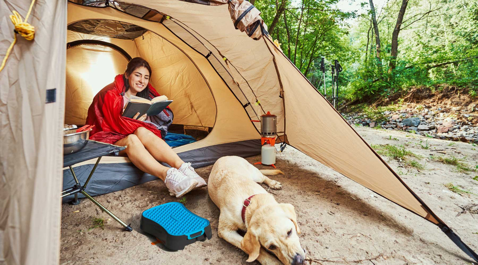 Ten ideas to give your dog the best day ever!