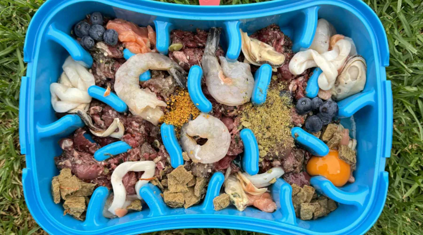 Your Guide to Slowing Down Your Dog's Eating: Strategies for a Healthier Canine