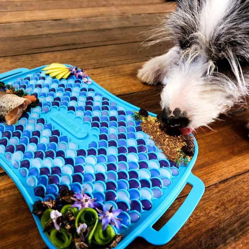 Dog lick mat