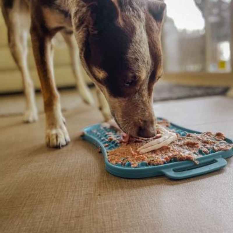 dog lick mat