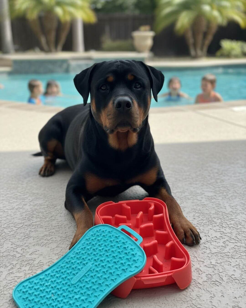 multicolumns-item-image-6