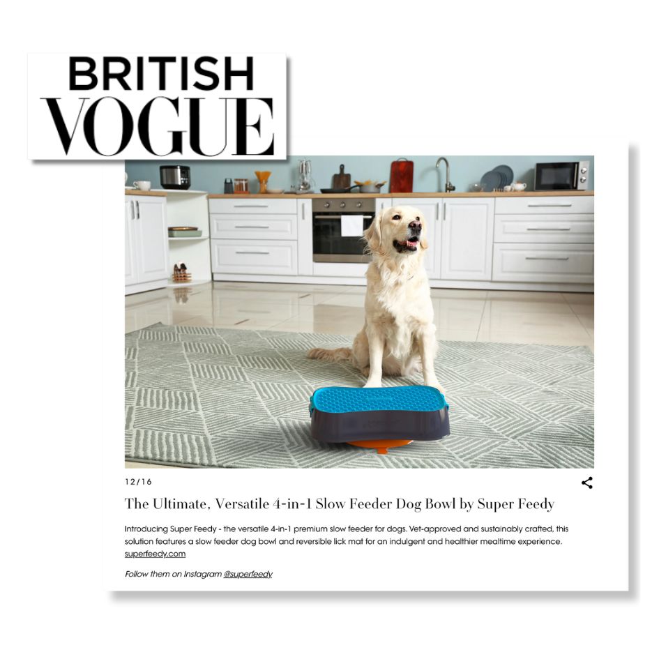 British Vogue Super Feedy Article