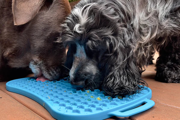 Super Feedy - Double The Enrichment With This Reversible Lick Mat.