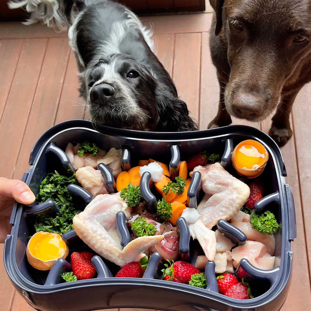 The Ultimate Slow Feeder Dog Bowl