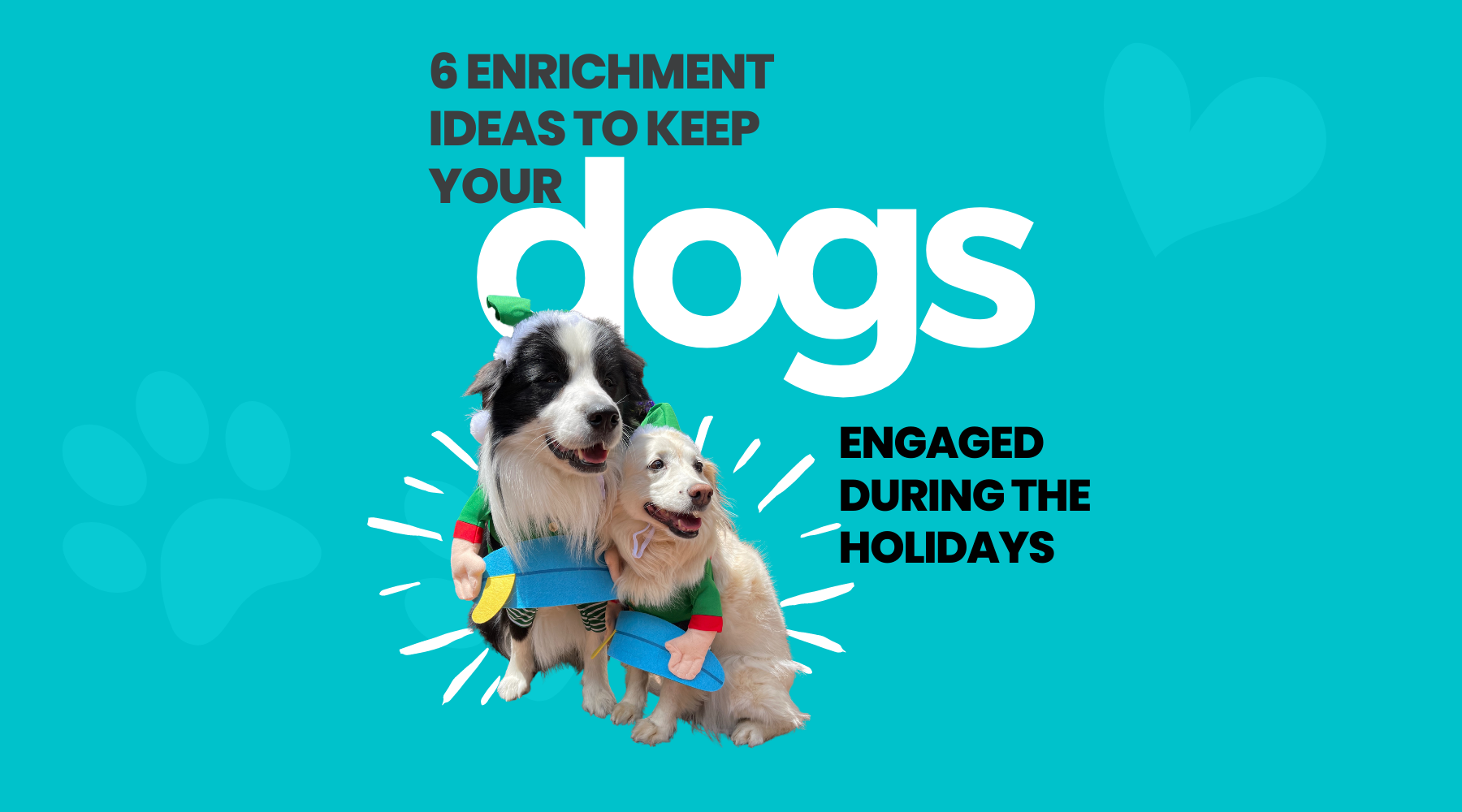 6 enrichment ideas to keep your dog entertained and engaged during the holidays!