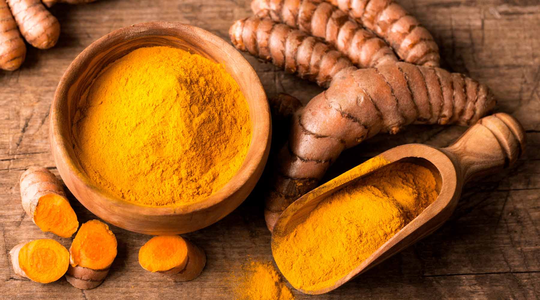 Benefits of Turmeric for Dogs: What you need to know.
