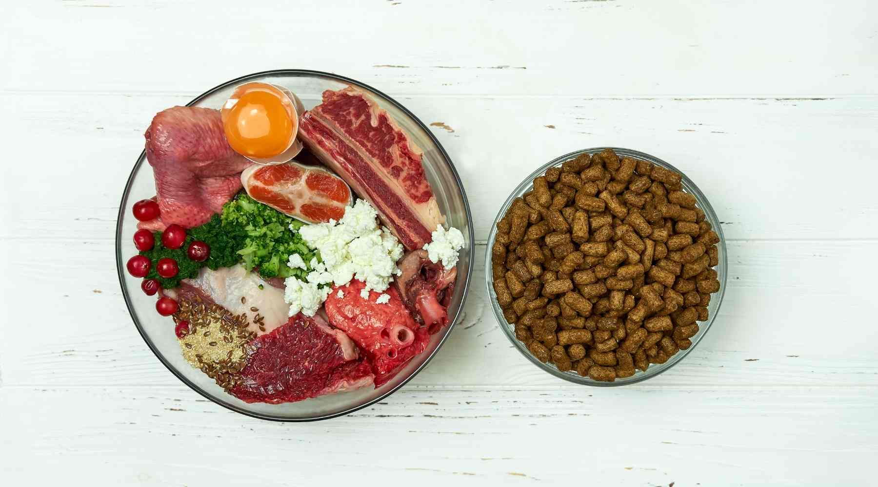 Is homemade dog food better than commercial brands?