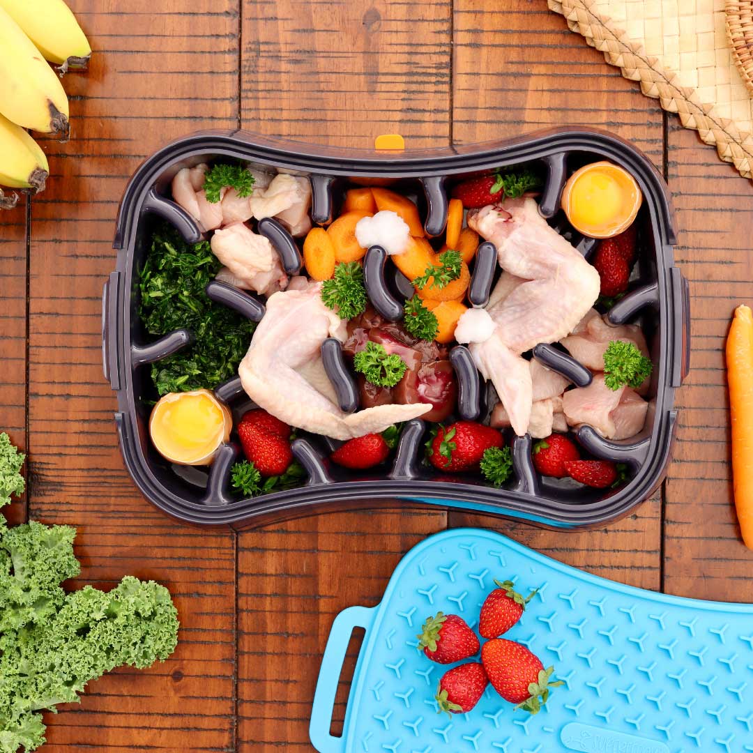 Want To Know What To Put In Dog Bowl To Slow Eating?