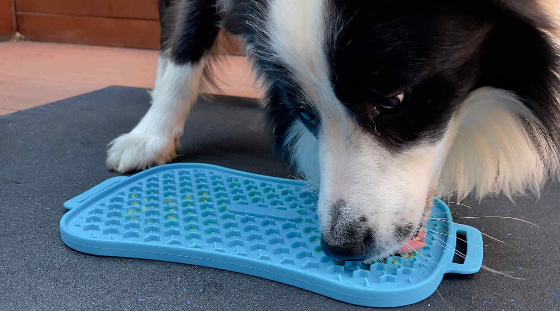 Supercharge Your Pup's Mealtime with Lick Mats for Dogs from Super Feedy in Australia!