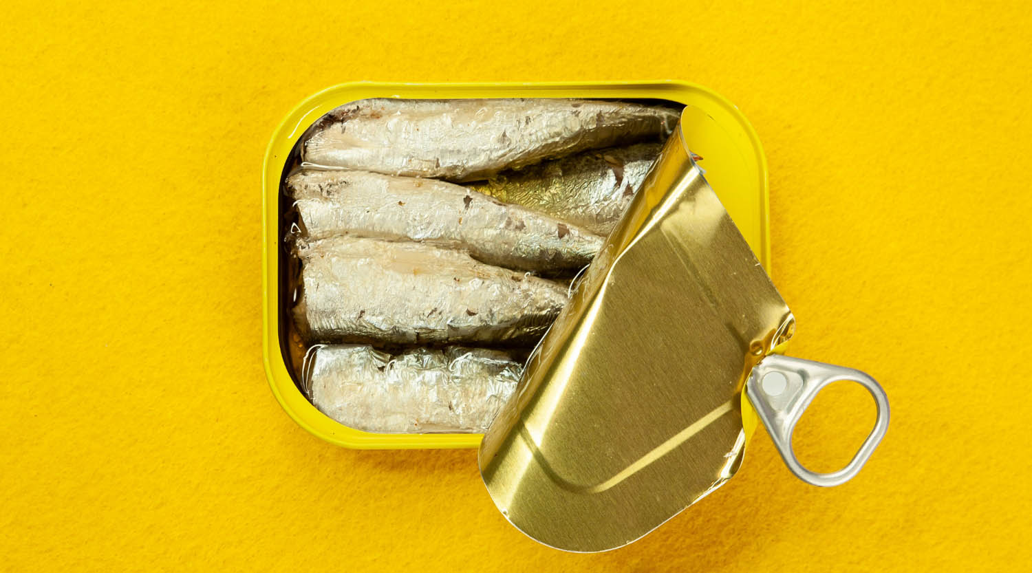 Sardines safe for outlet dogs