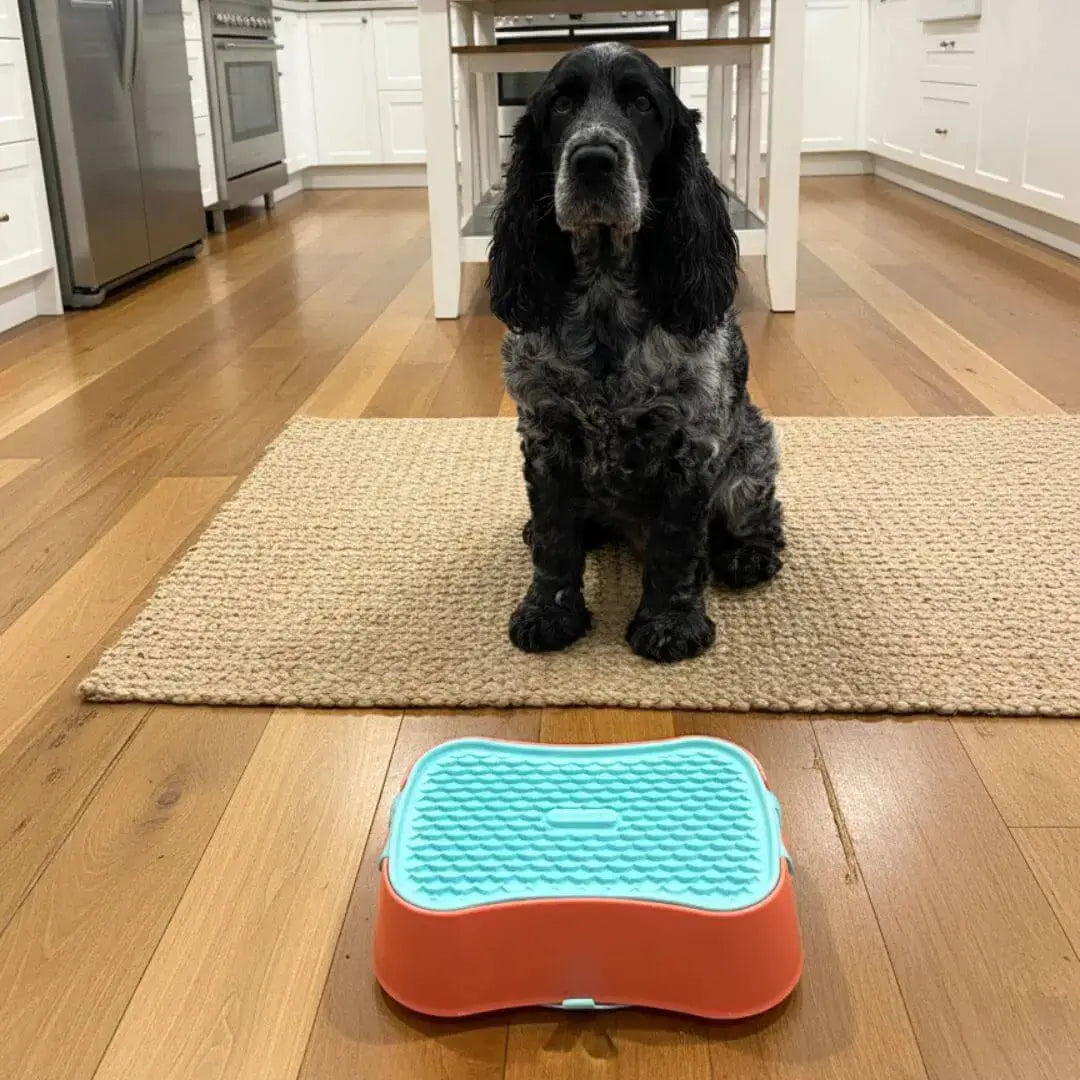 Slow-Feeder-for-Small-Dogs-Top-Benefits-and-How-to-Choose-One Super Feedy