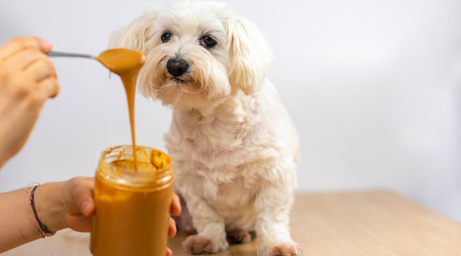 Buy Creamy Peanut Butter with Free Lick Mat | Dog for Dog