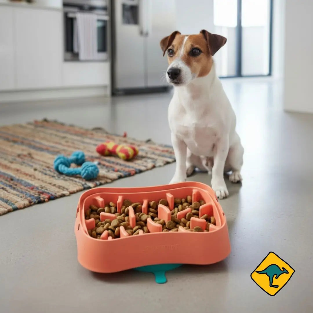 Are Slow Feeder Dog Bowls Safe?