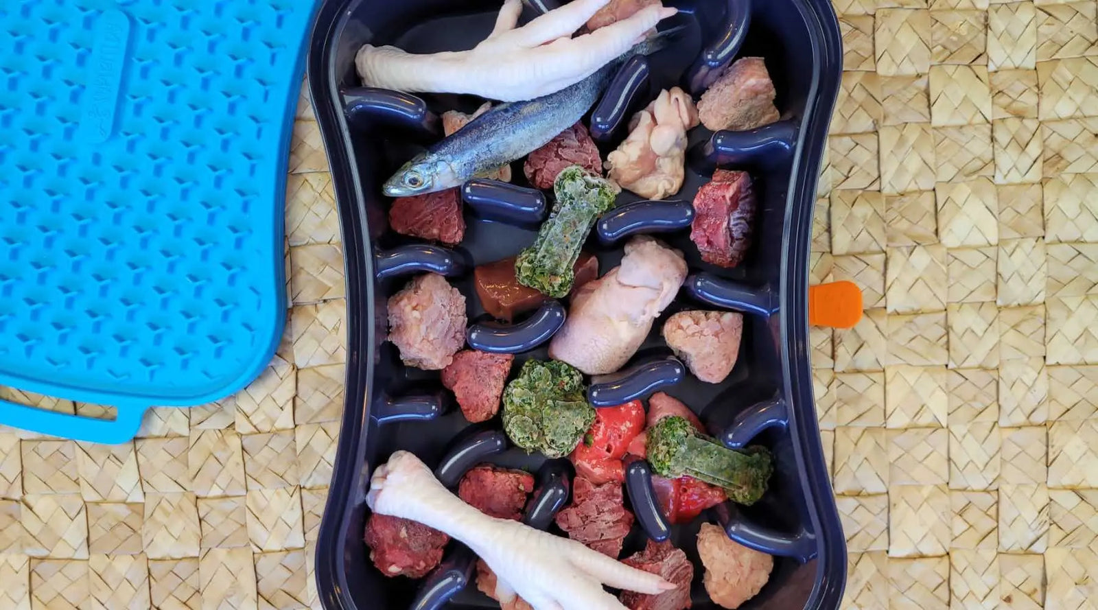 Can Changing Dog Food Cause Problems? Insights for Pet Owners