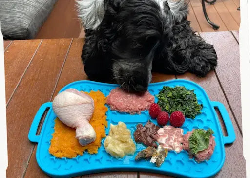 Enhancing Canine Wellness: Discover the Advantages of Super Feedy's Slow Feeders: - Super Feedy