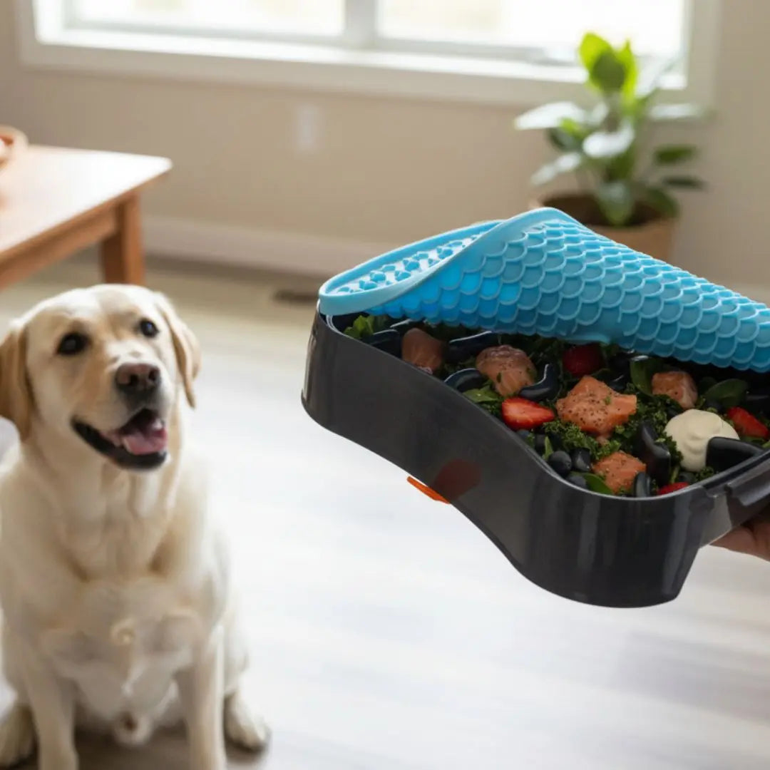 Slow-Feeder-for-Labrador-Choosing-the-Right-Size-for-Your-Breed Super Feedy