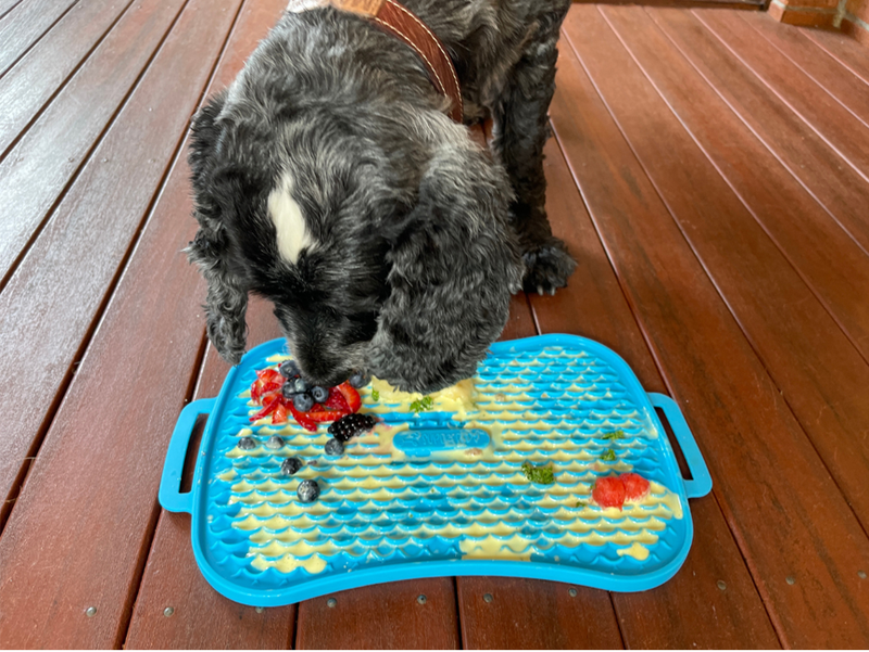 NEW Crate Training Toy for Dogs-Peanut Butter Lick Reduces Stress