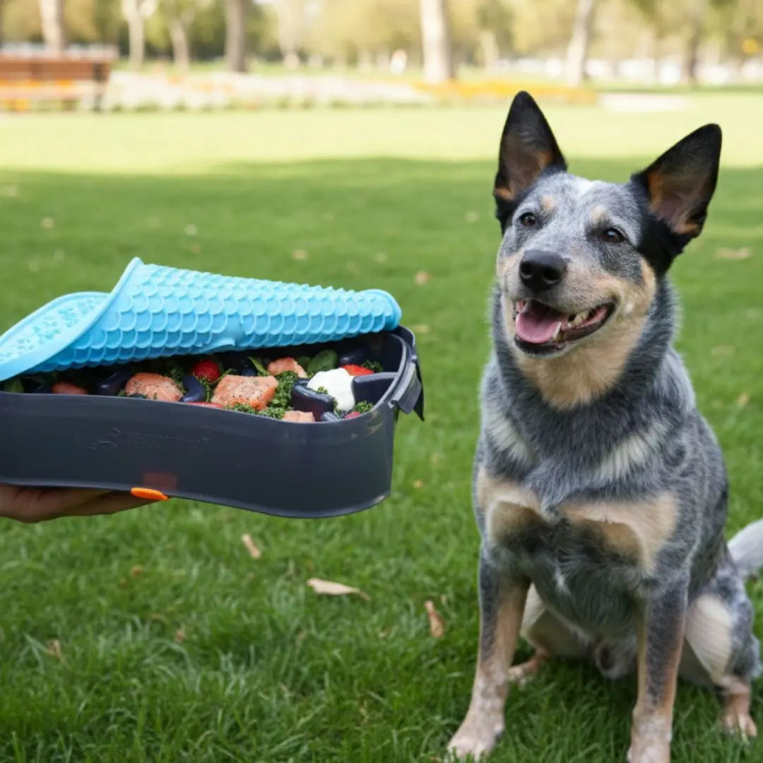 Super Feedy 4-in-1 Slow Feeder Dog Bowl System Super Feedy