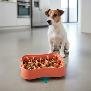 Super Feedy Small 4-in-1 Slow Feeder System