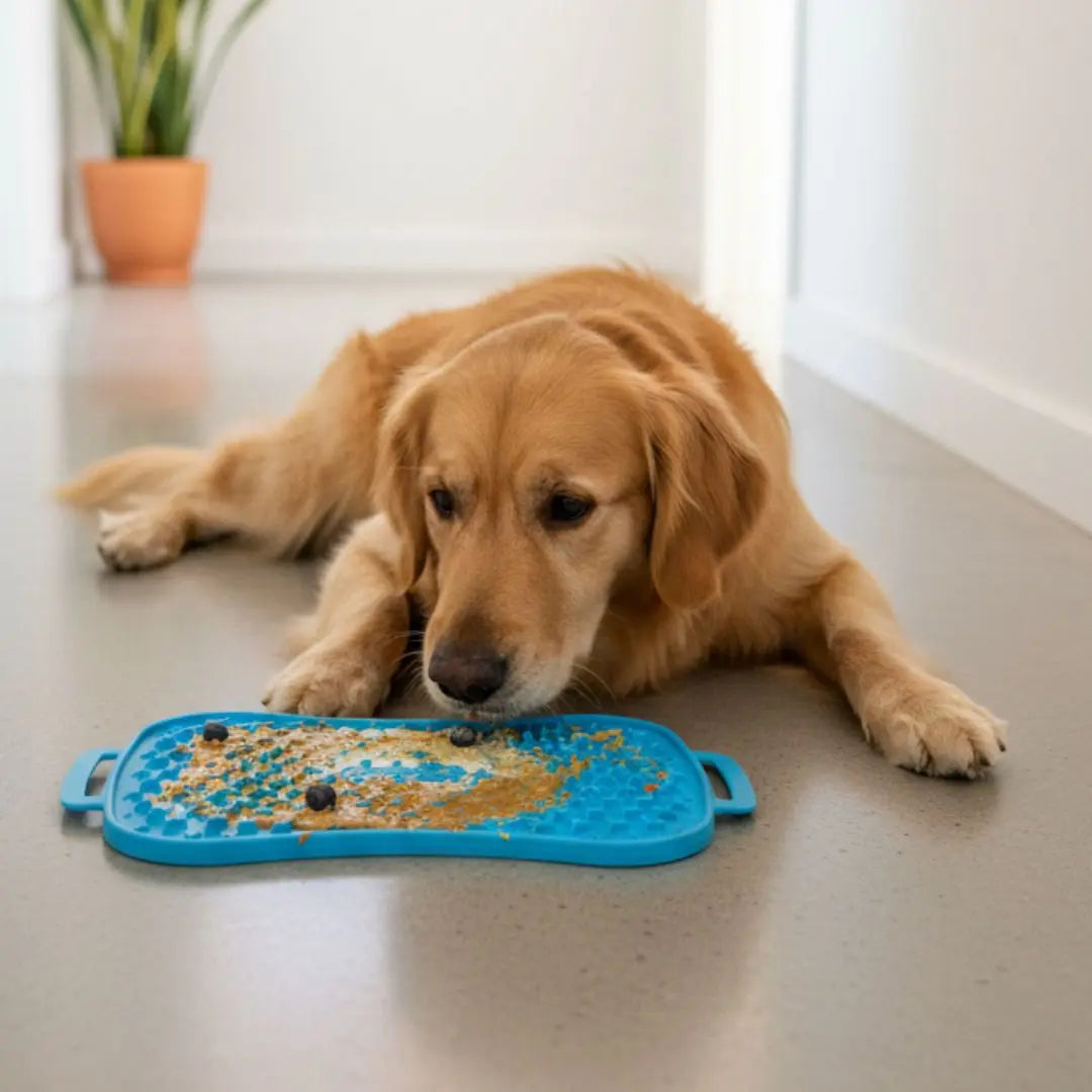 Super Feedy 4-in-1 Slow Feeder Dog Bowl System Super Feedy