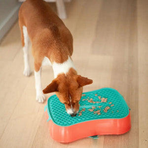 Super Feedy 4-in-1 Slow Feeder Dog Bowl System Super Feedy