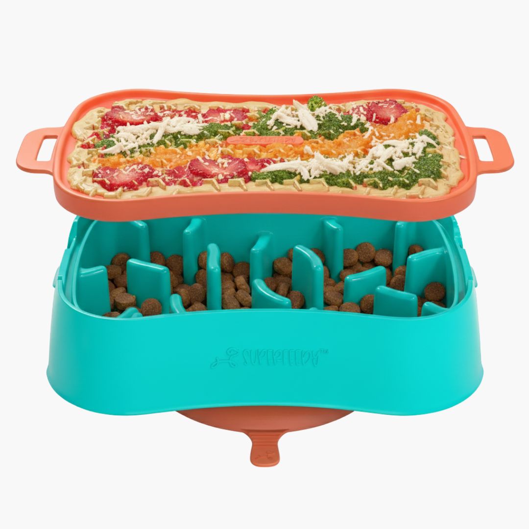 Super Feedy Small 4-in-1 Slow Feeder System