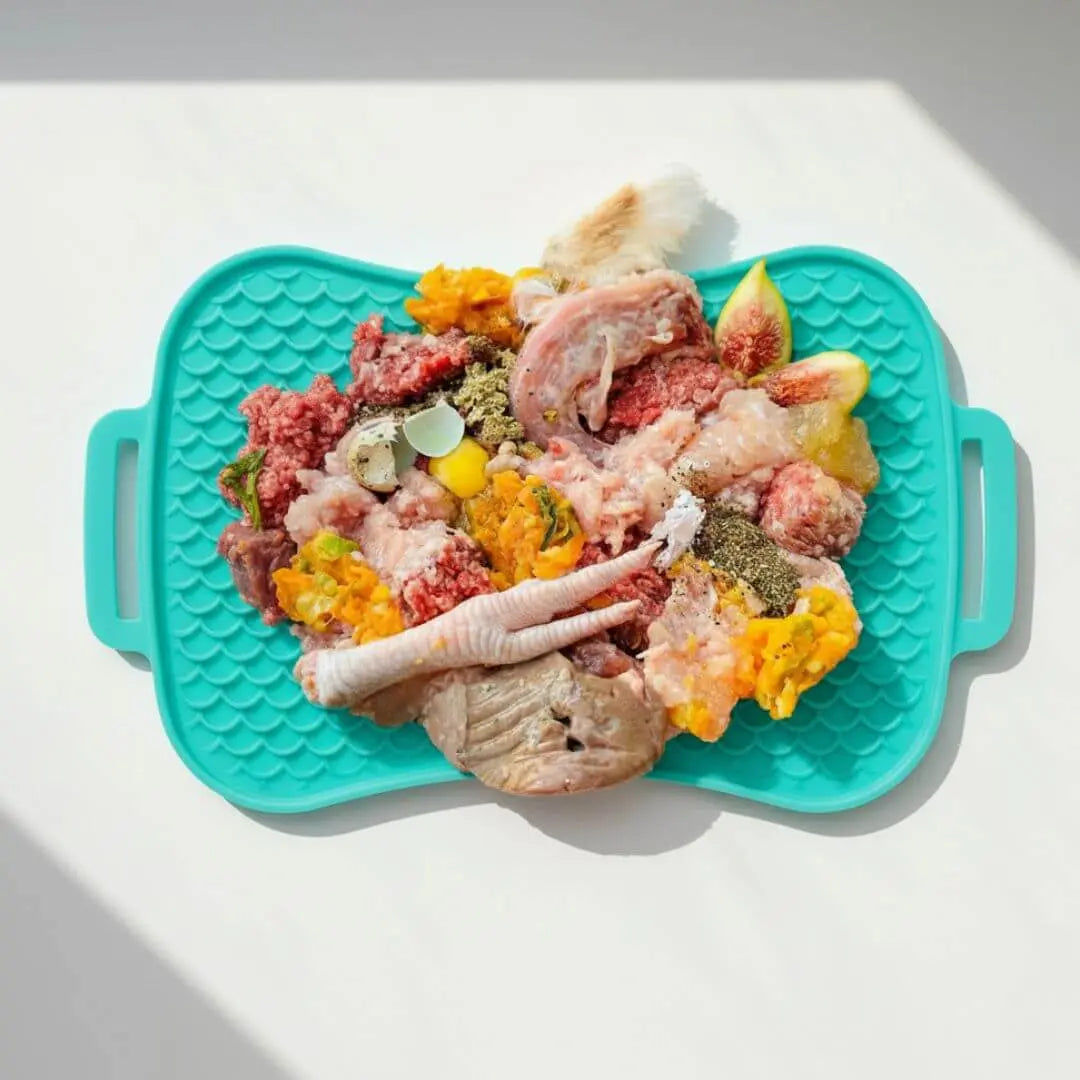 Super Feedy 4-in-1 Slow Feeder Dog Bowl System Super Feedy