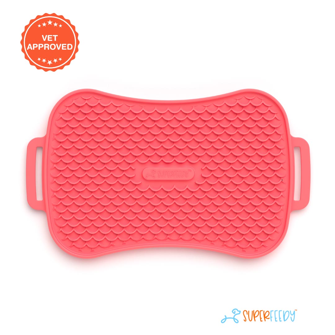 14_b6039745-afaf-4ca2-8048-c53f315e3450