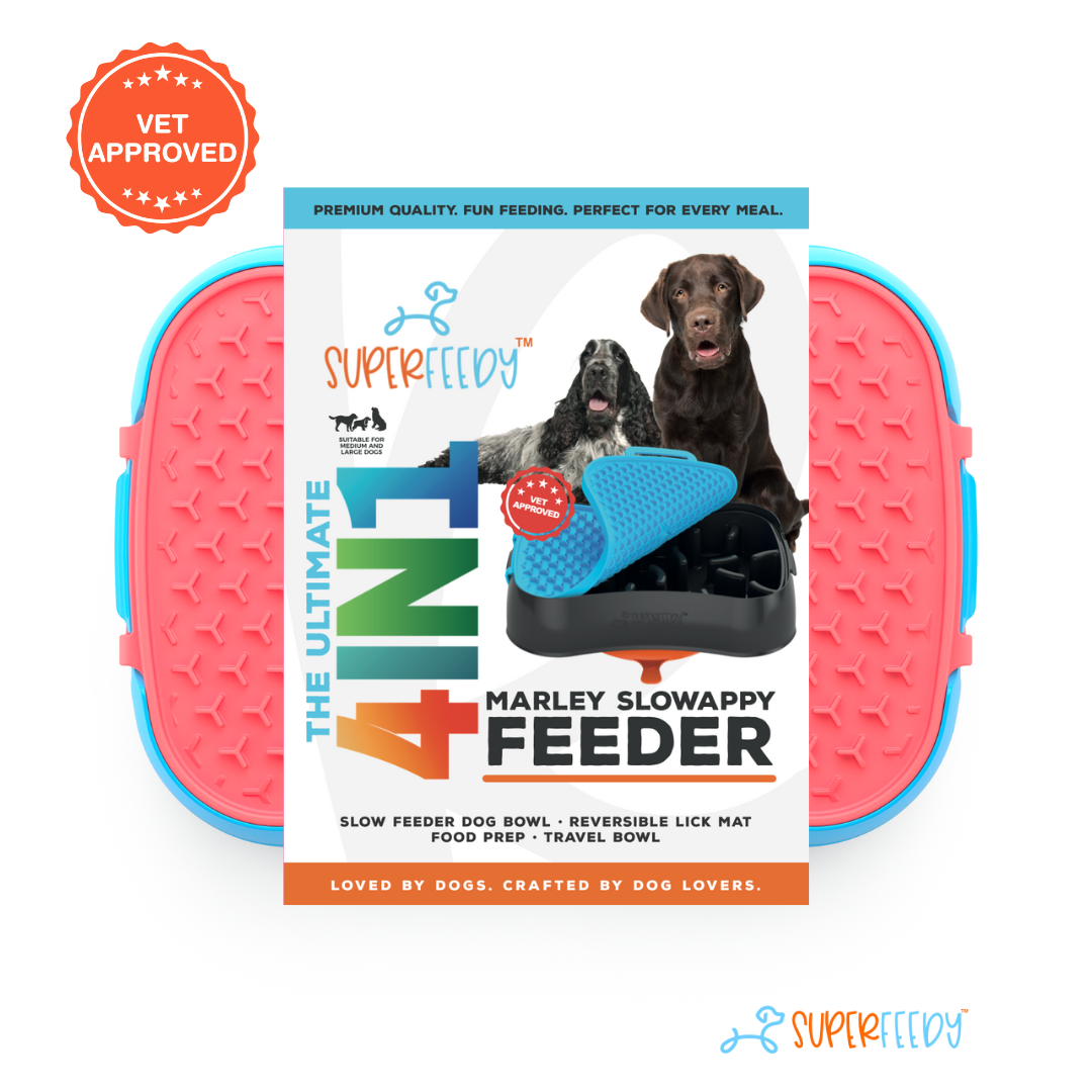 The Ultimate, Versatile 4-in-1 Slow Feeder Dog Bowl