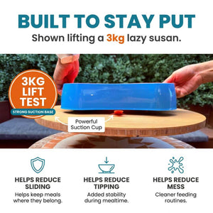 4-in-1 Slow Feeding System | Super Feedy