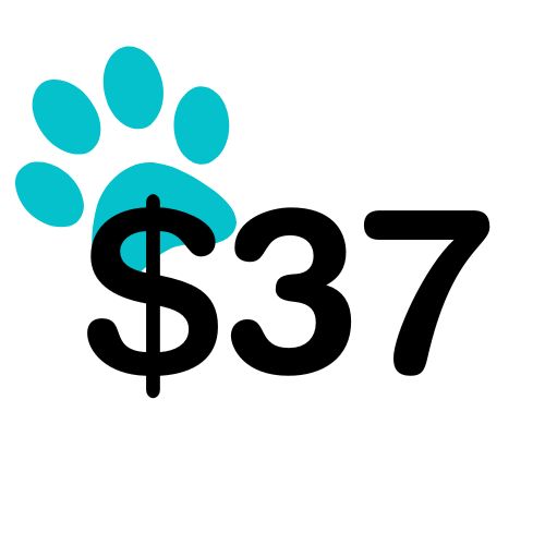 $37 Helps a pet find love with its own profile on PetRescue