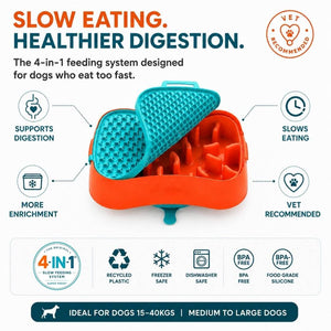 4-in-1 Slow Feeding System | Super Feedy