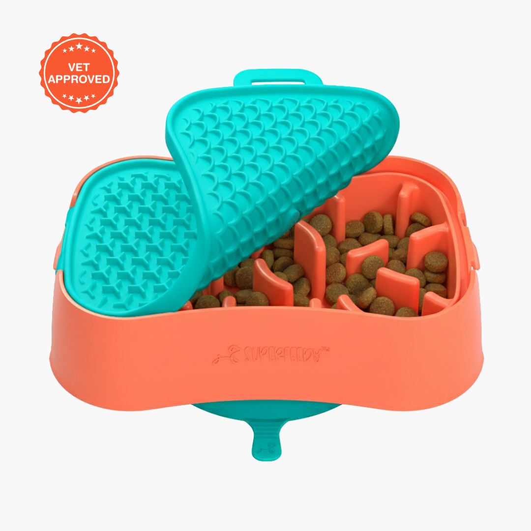 Super Feedy Small 4-in-1 Slow Feeder System