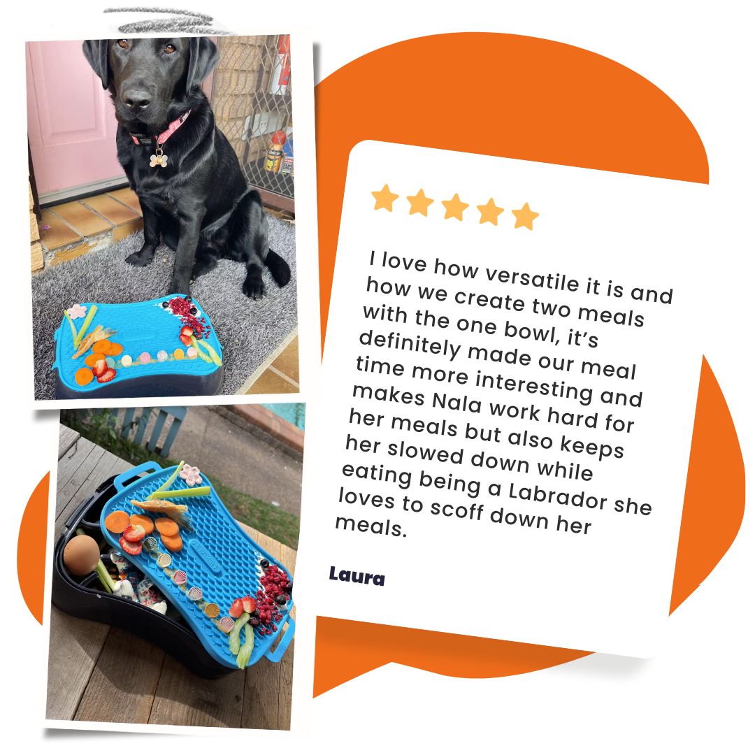 I love how versatile it is and how we create two meals with the one bowl, it’s definitely made our meal time more interesting and makes Nala work hard for her meals but also keeps her slowed down while eating being a Labrador she loves to scoff down her meals. - Laura