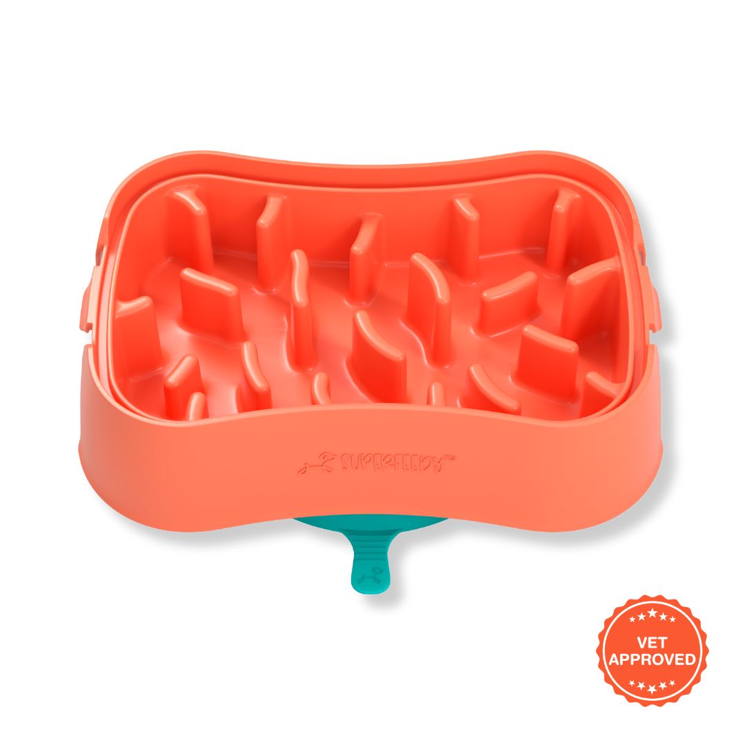 Super Feedy Small 4-in-1 Slow Feeder System