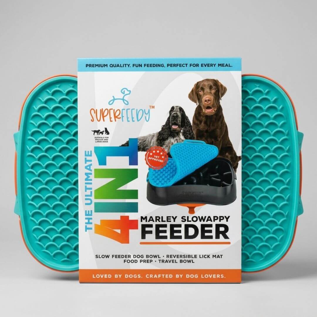 Dog eating from Super Feedy slow feeder