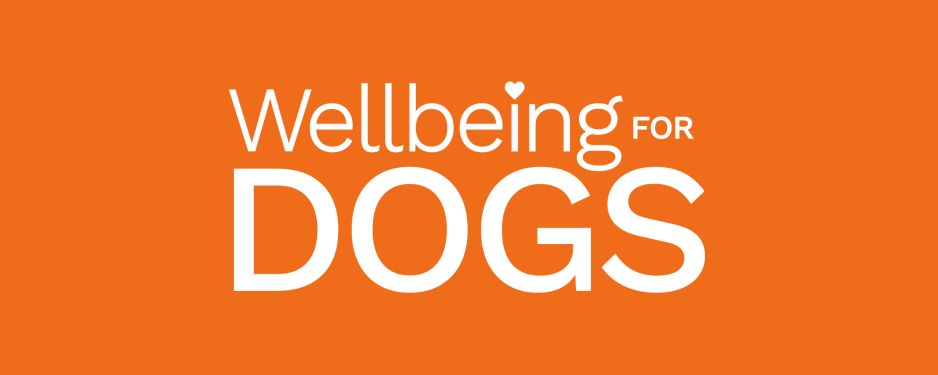 Wellbeing For Dogs