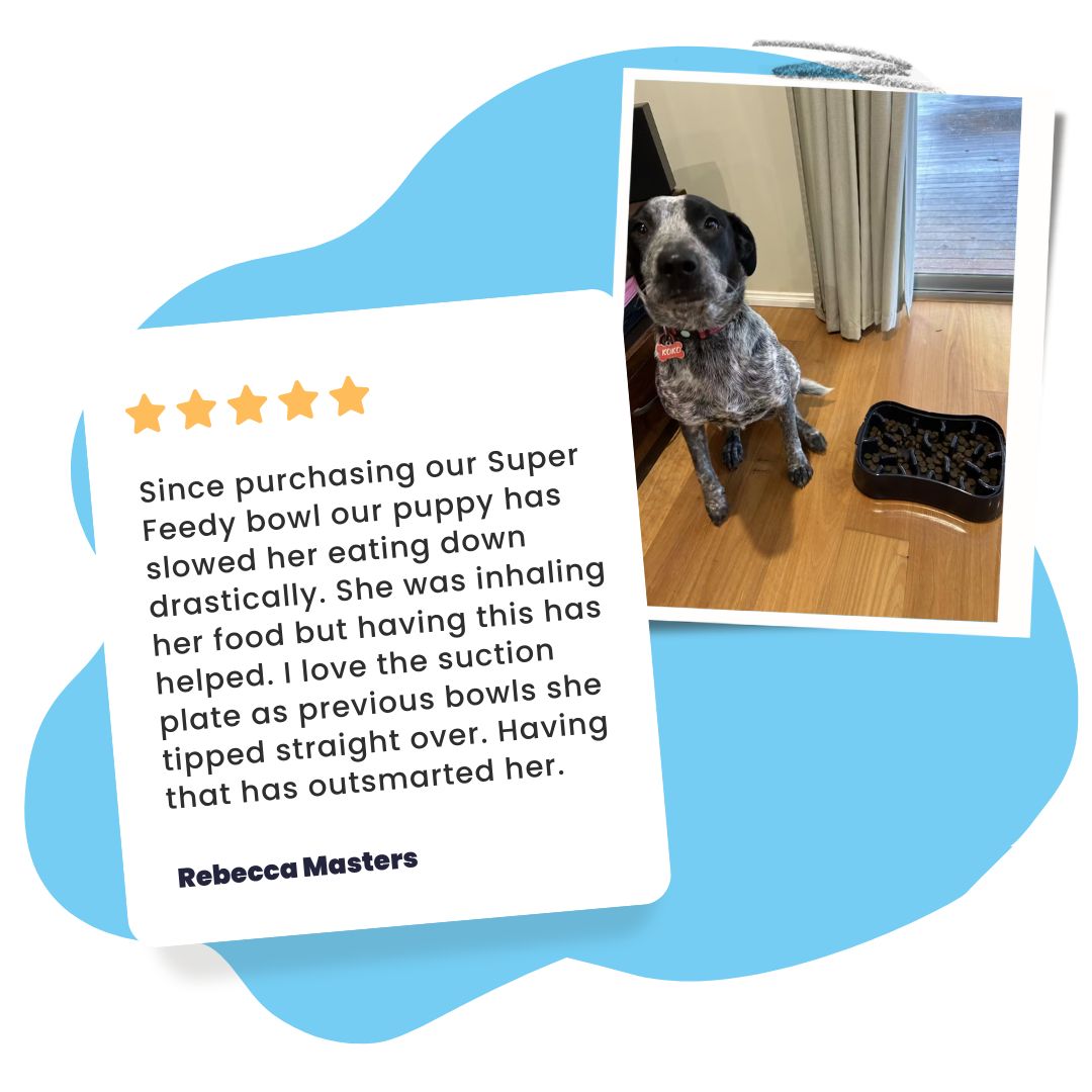 Since purchasing our Super Feedy bowl our puppy has slowed her eating down drastically. She was inhaling her food but having this has helped. I love the suction plate as previous bowls she tipped straight over. Having that has outsmarted her. - Rebecca Masters