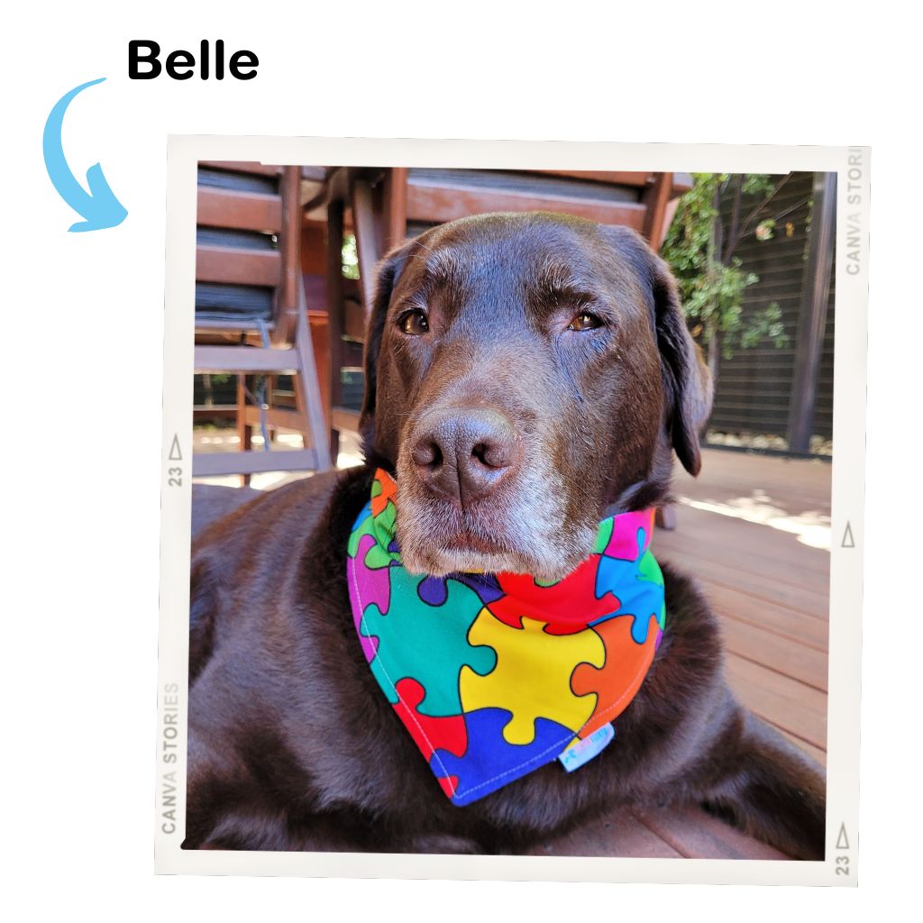 The Super Feedy Story - Belle