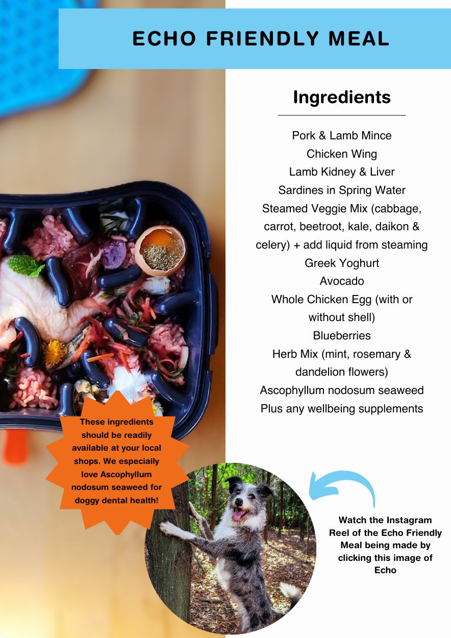 Super Feedy - Echo Friendly Meal recipe