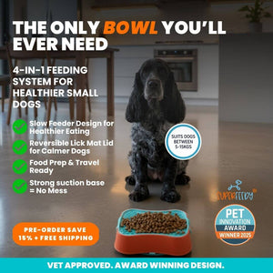 Super Feedy Small 4-in-1 Slow Feeder System