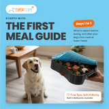 Super Feedy First Meal Guide | Digital Download