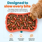 Slow Feeder Bowl for Small Dogs | Super Feedy