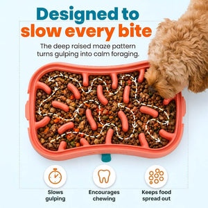 Slow Feeder Bowl for Small Dogs | Super Feedy
