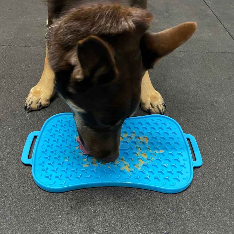 Dog lick mat
