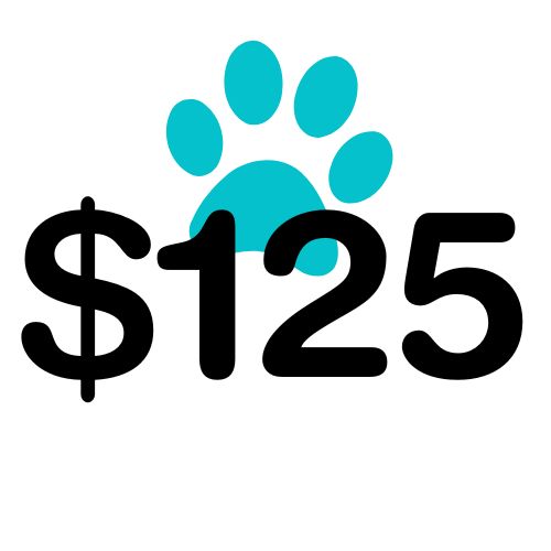 $125 Helps host the PetRescue website for a day