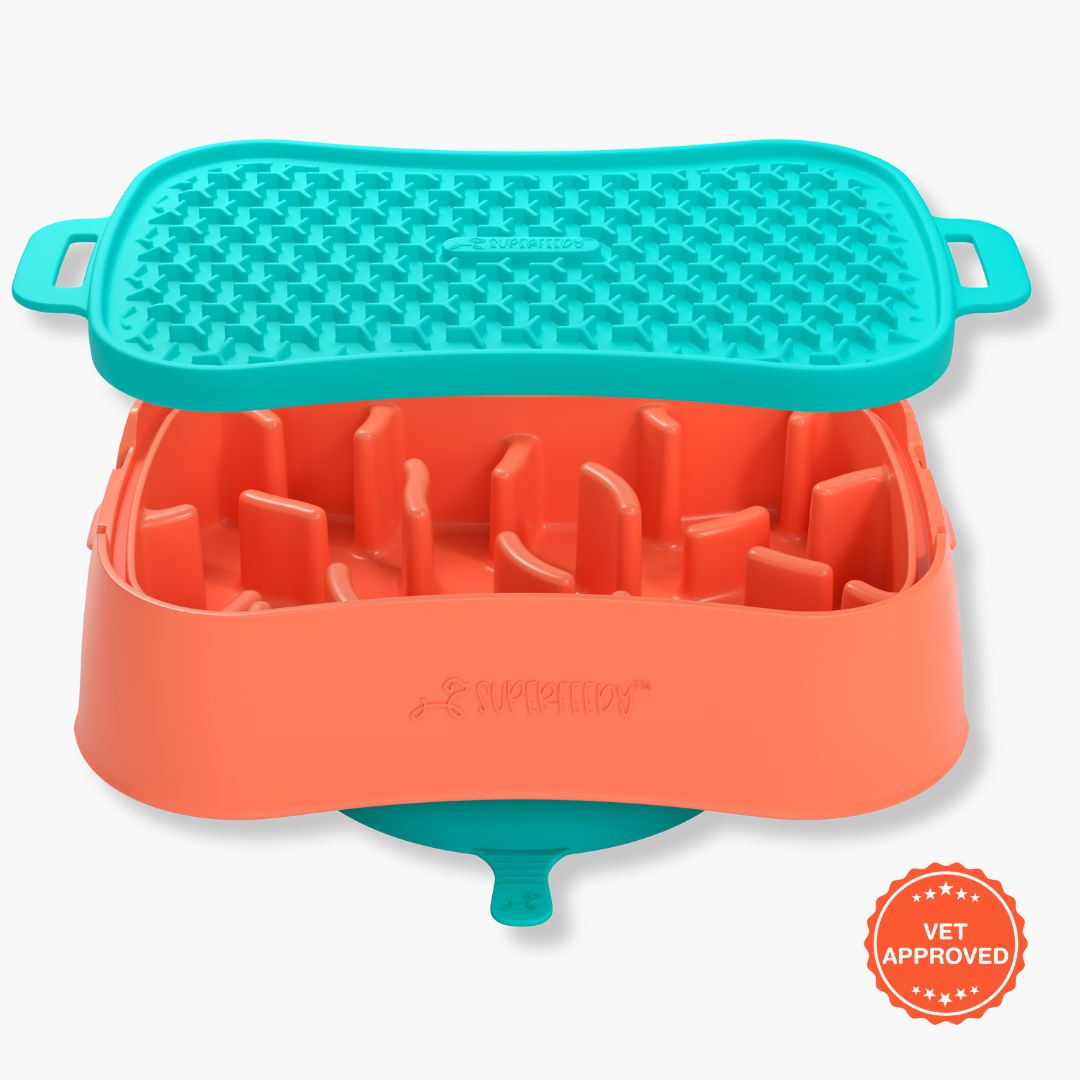 Super Feedy Small 4-in-1 Slow Feeder System