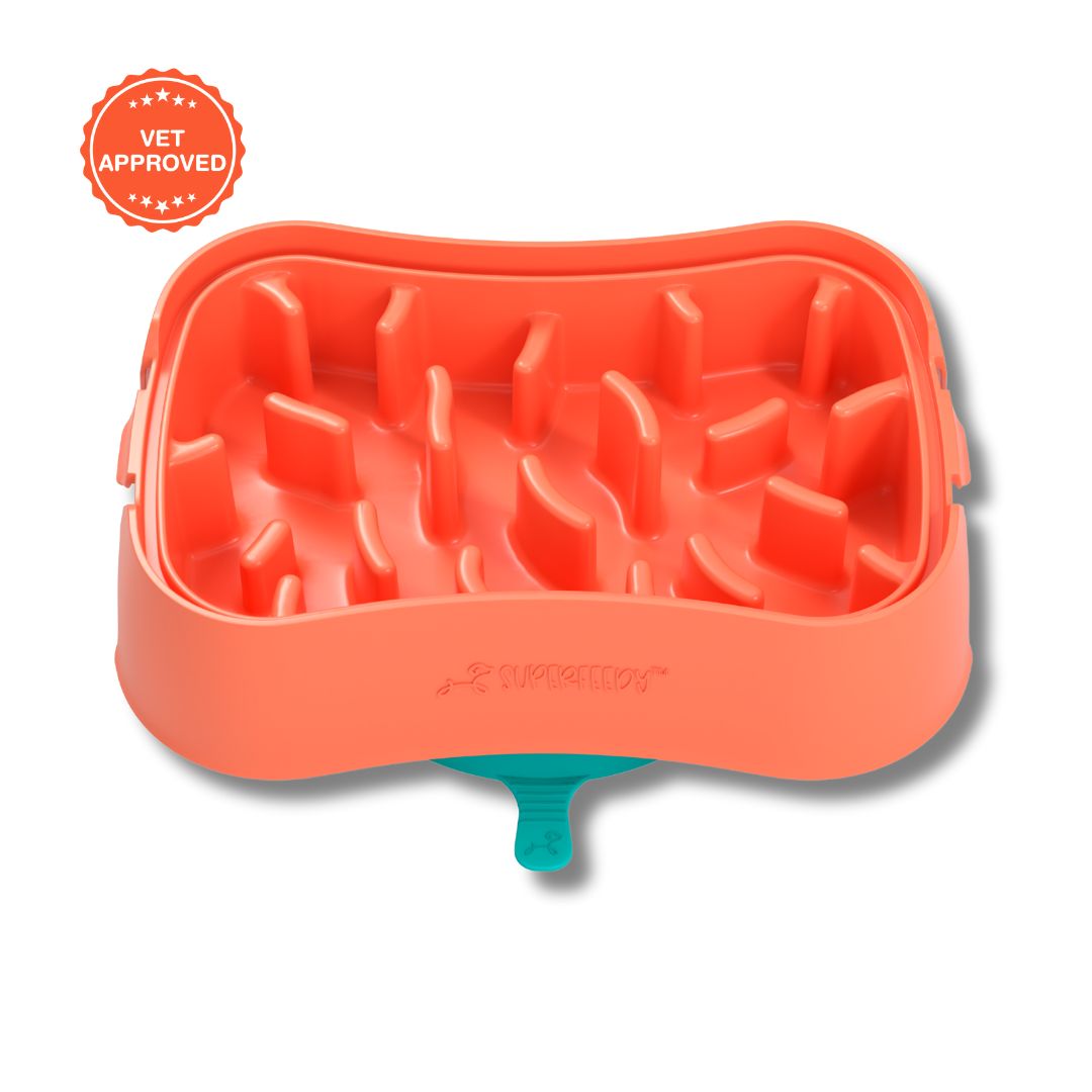 Super Feedy Small 4-in-1 Slow Feeder System